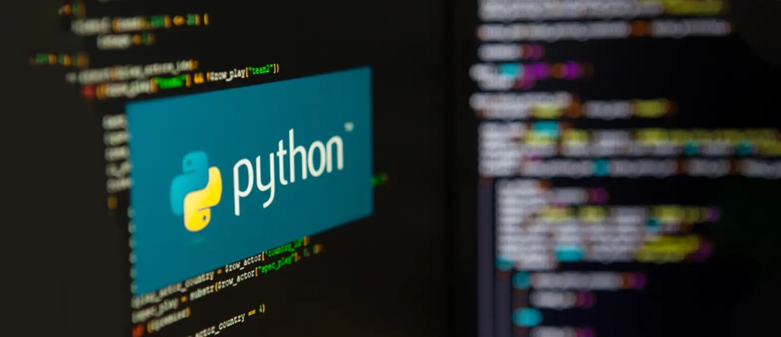 Python software development